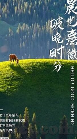 91精品在线麻豆-探索数字化时代下的成人娱乐内容——对91精品在线麻豆的理性审视