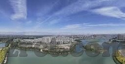 动画伦理片-动画伦理片，在虚构世界中探讨真实道德的边界
